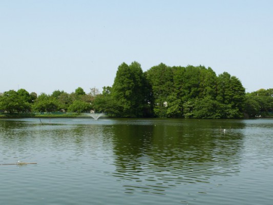 等々力緑地　釣り池